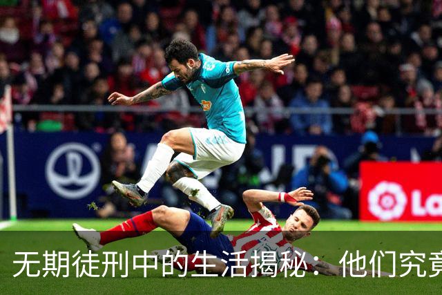 无期徒刑中的生活揭秘：他们究竟在监狱里干啥？